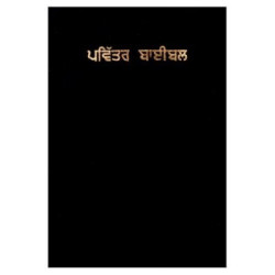 Punjabi Holy Bible